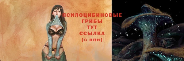 дживик Белокуриха